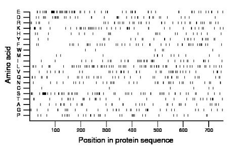 amino acid map