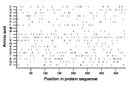 amino acid map