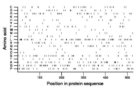 amino acid map