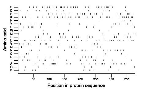 amino acid map