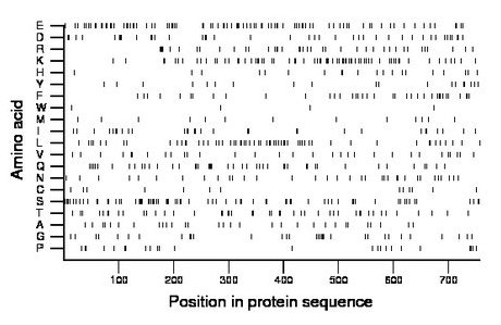 amino acid map