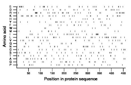 amino acid map