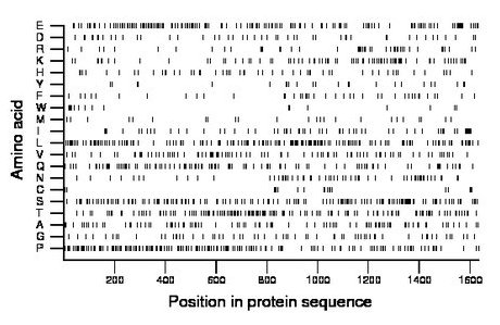 amino acid map