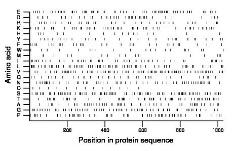 amino acid map