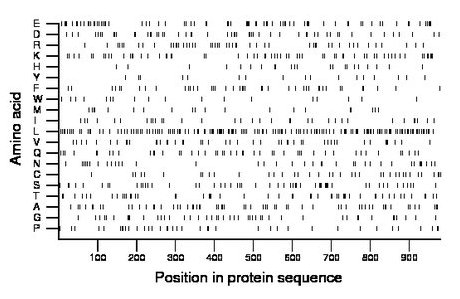 amino acid map