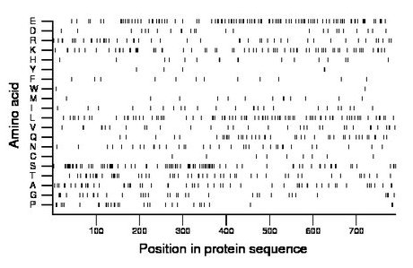 amino acid map