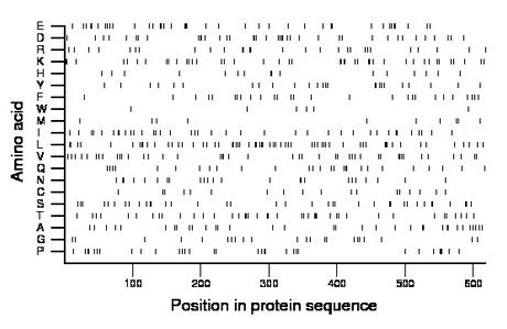 amino acid map