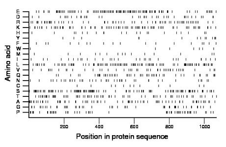 amino acid map