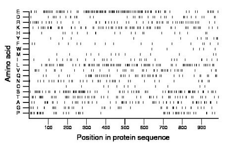 amino acid map