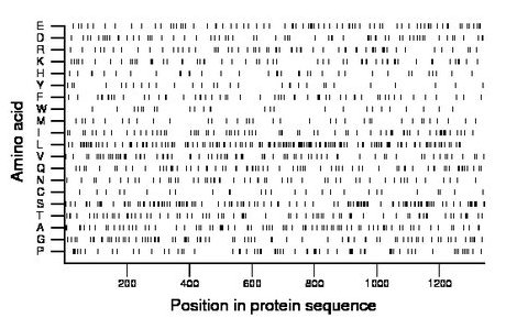 amino acid map