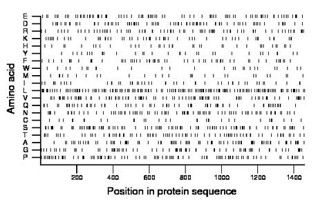 amino acid map