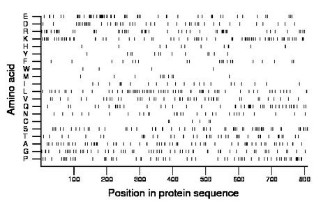 amino acid map