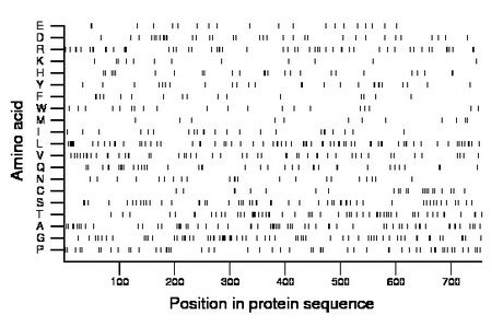 amino acid map