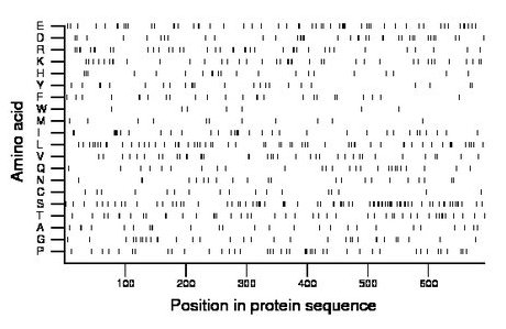 amino acid map