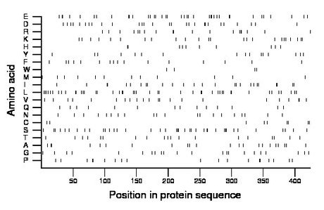 amino acid map