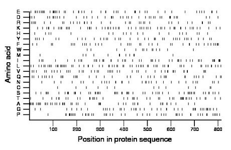 amino acid map