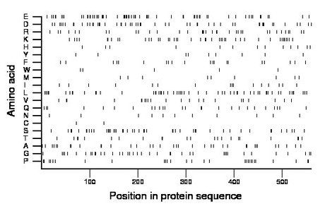 amino acid map