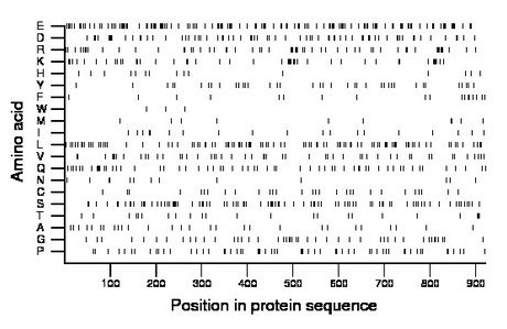 amino acid map