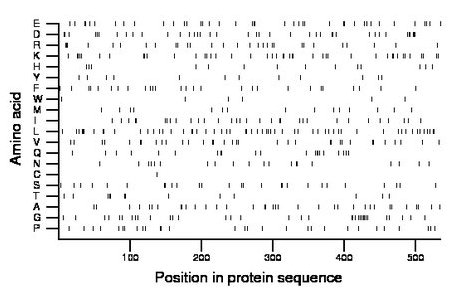 amino acid map