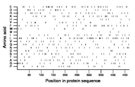 amino acid map