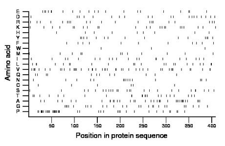 amino acid map