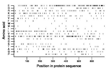 amino acid map