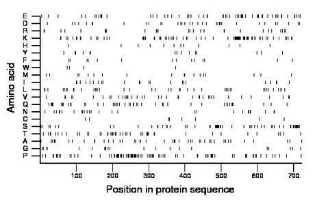 amino acid map