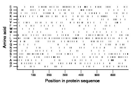 amino acid map