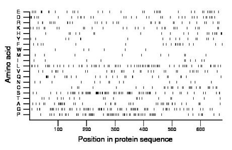 amino acid map