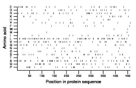 amino acid map