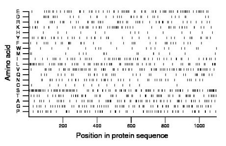 amino acid map