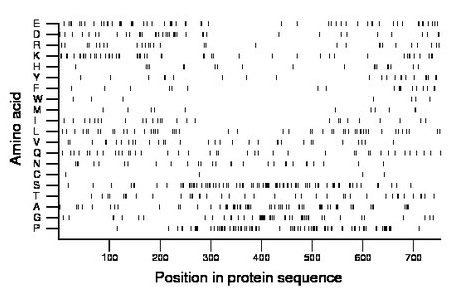 amino acid map