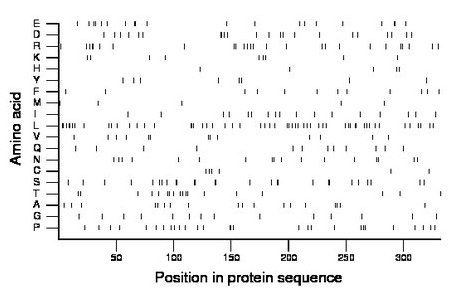 amino acid map