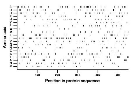 amino acid map