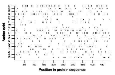 amino acid map