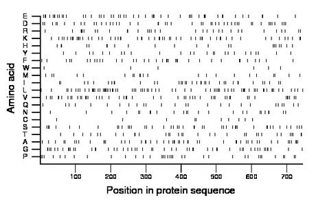 amino acid map