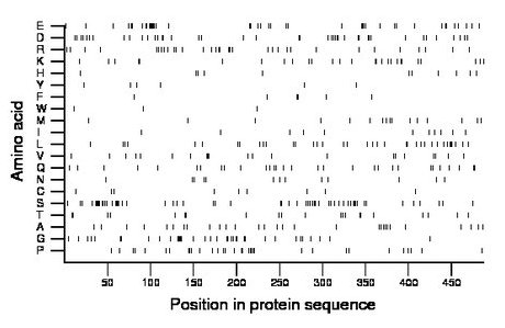 amino acid map