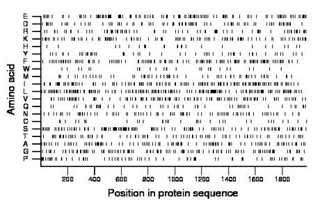 amino acid map