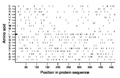 amino acid map