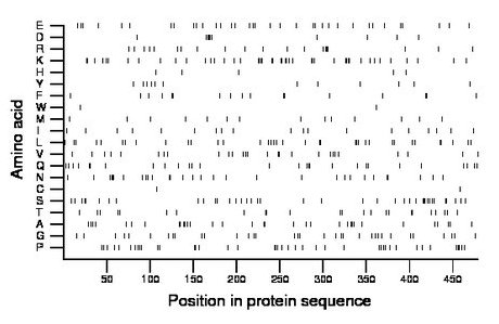 amino acid map