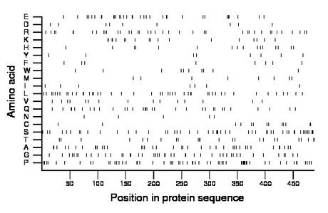 amino acid map