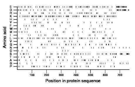 amino acid map