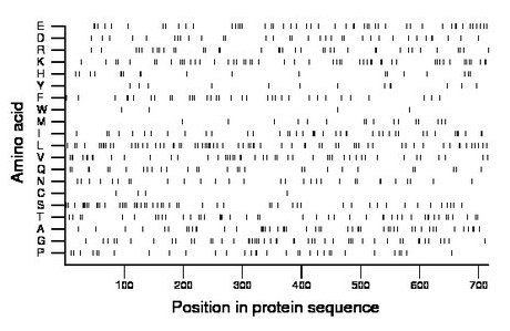 amino acid map