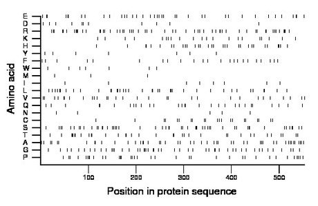 amino acid map