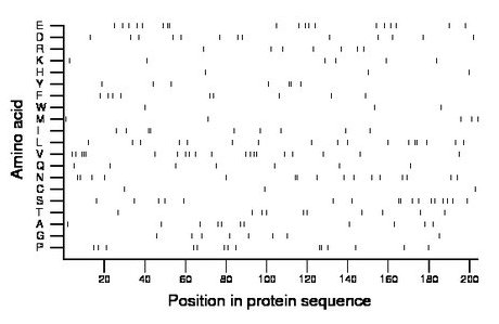 amino acid map