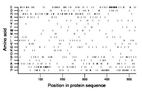 amino acid map