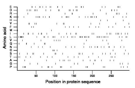 amino acid map