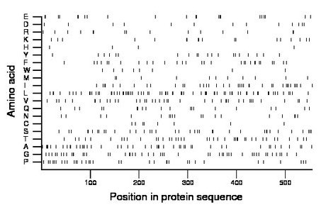 amino acid map