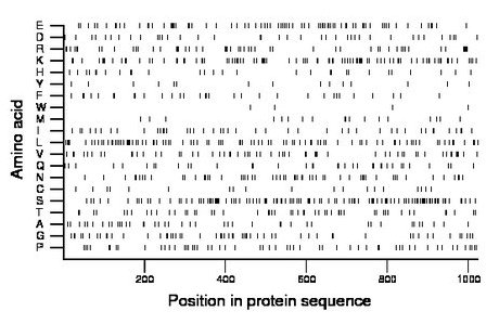 amino acid map