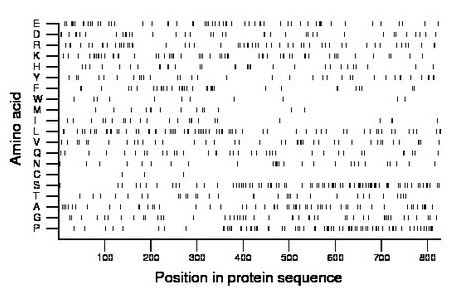 amino acid map